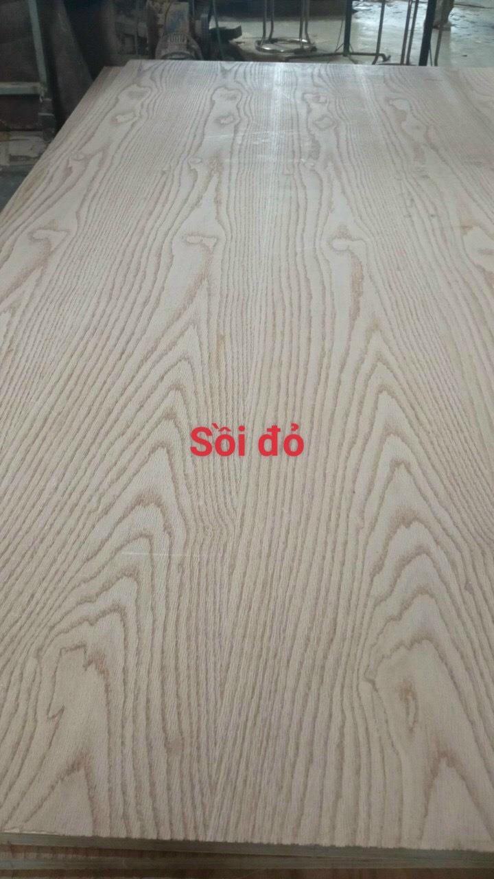 Veneer Sồi