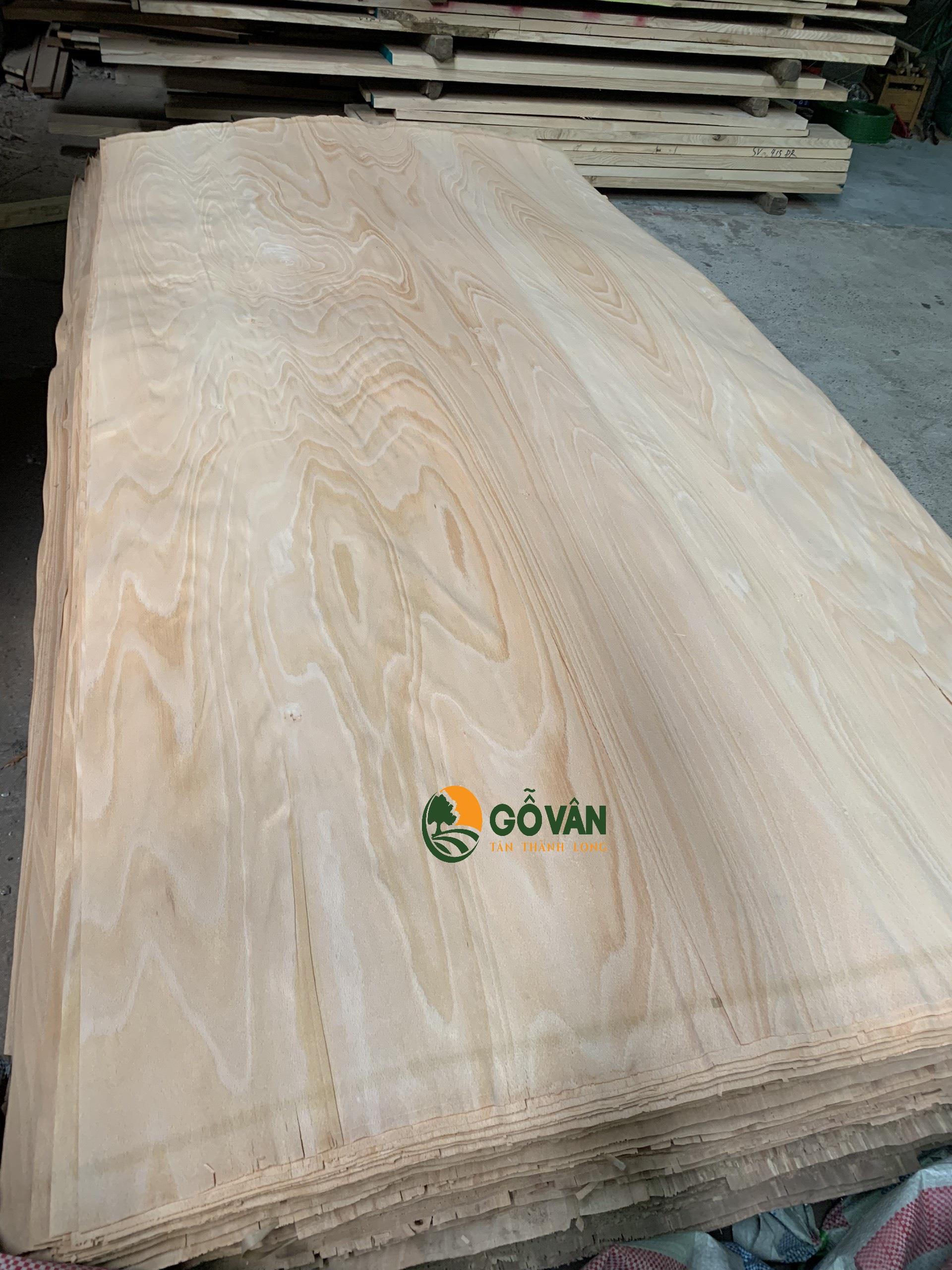 Veneer Beech lạng bóc